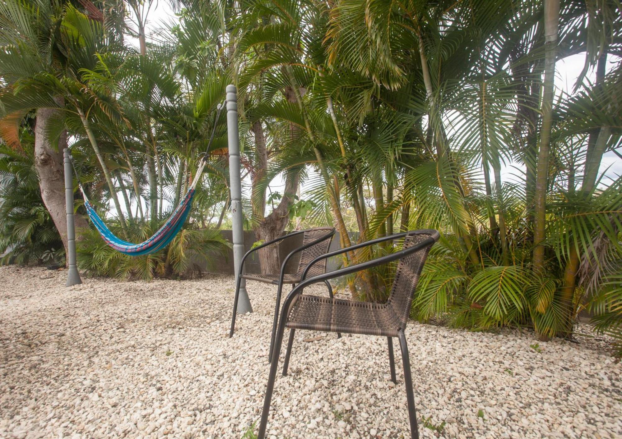 Casa Loba Suite 4 With Private Pool リンコン エクステリア 写真