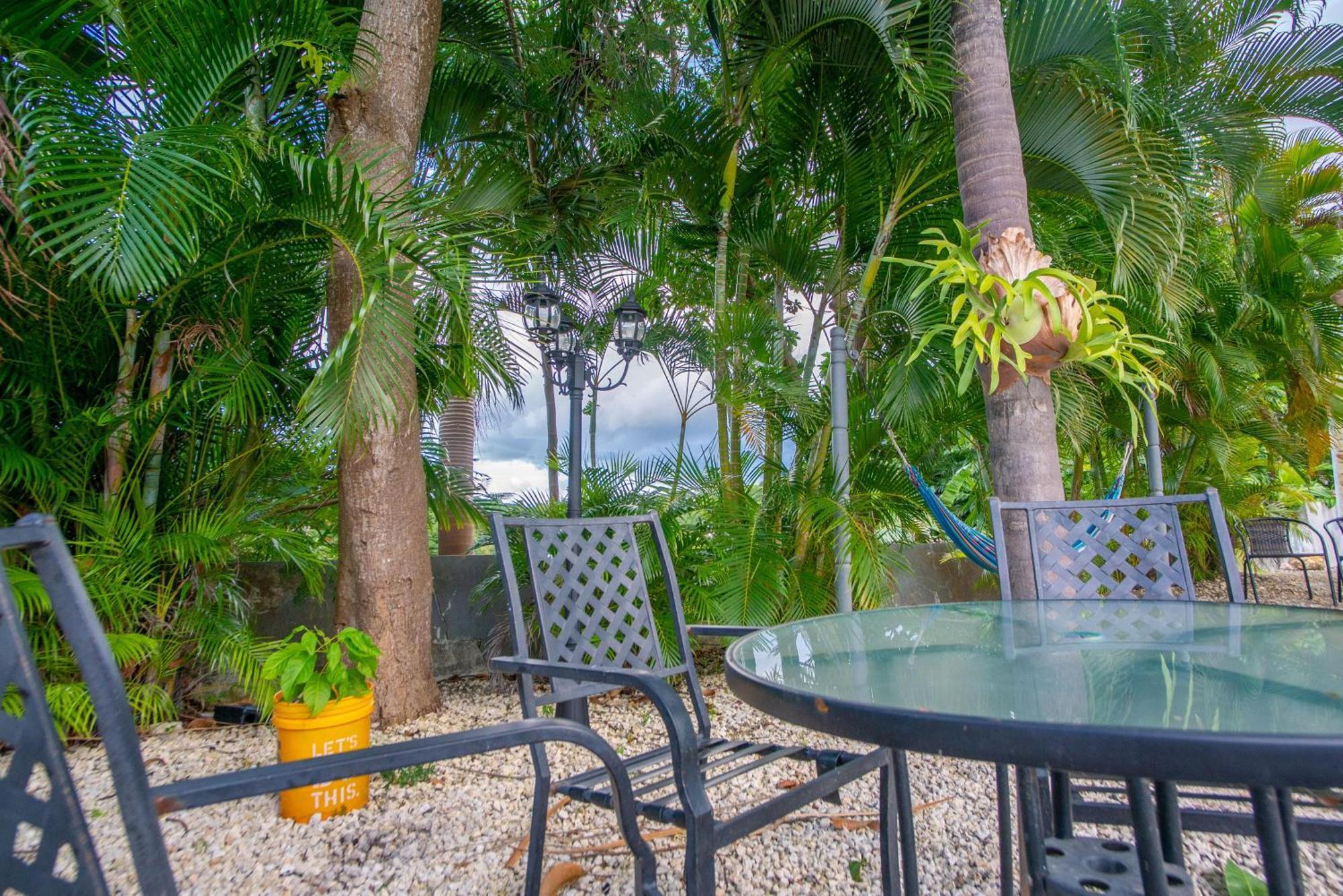 Casa Loba Suite 4 With Private Pool リンコン エクステリア 写真